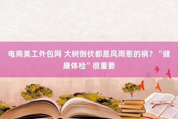 电商美工外包网 大树倒伏都是风雨惹的祸？“健康体检”很重要