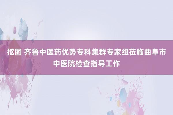 抠图 齐鲁中医药优势专科集群专家组莅临曲阜市中医院检查指导工作