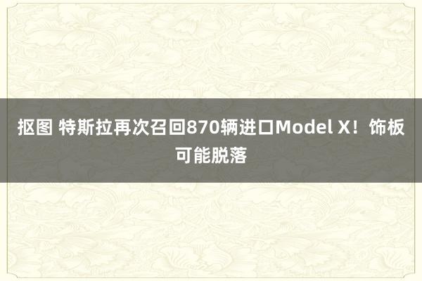 抠图 特斯拉再次召回870辆进口Model X！饰板可能脱落